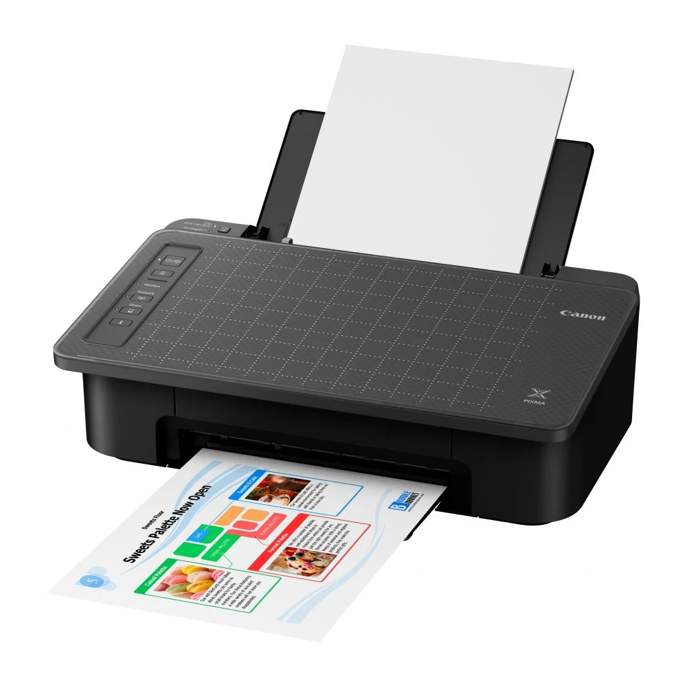 IMPRIMANTE JET D'ENCRE A4 CANON PIXMA TS304 (2321C007AA)