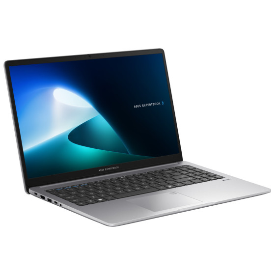 PC portable Asus ExpertBook P1 (P1503CVA-NJ0991)