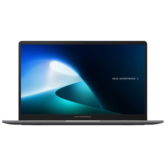 PC portable Asus ExpertBook P1 (P1503CVA-NJ0991)