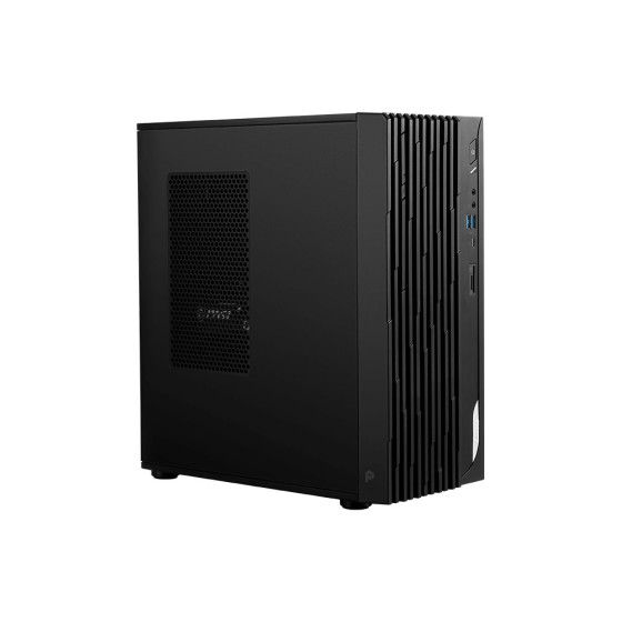 PC de bureau MSI Pro DP180 13 + Ecran MP2412 24"