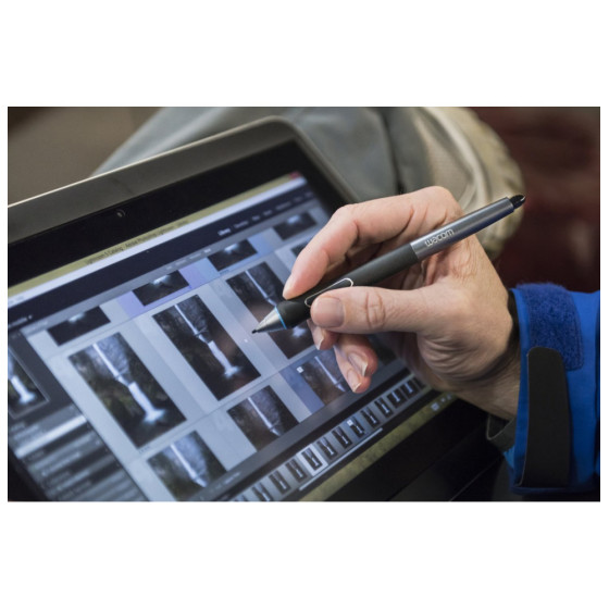 TABLETTE GRAPHIQUE WACOM CINTIQ COMPANION 2 - 13