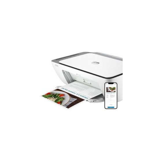 Imprimante multifonction HP DeskJet Ink Advantage 2876 (6W7E6C)