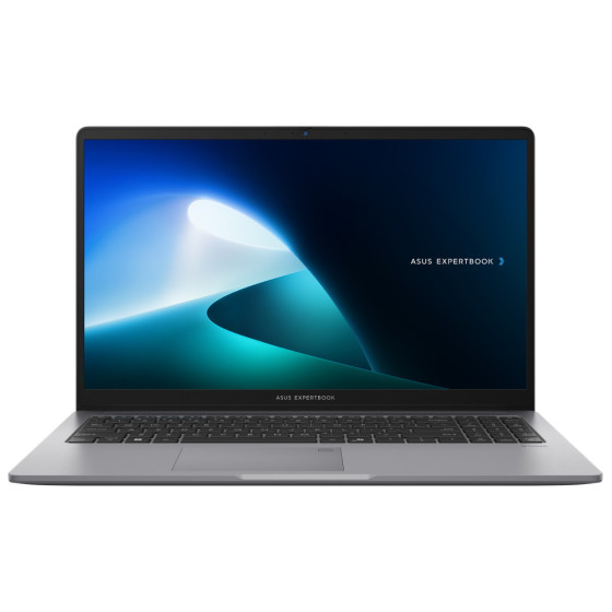 PC portable Asus ExpertBook P1 (P1503CVA-S71473)