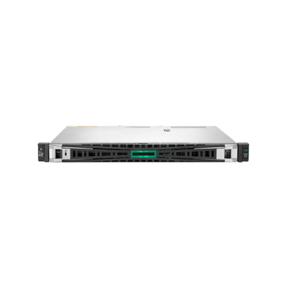 Serveur HPE ProLiant DL20 Gen11 (P65393-421)