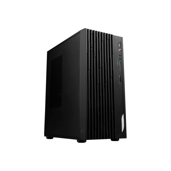 PC de bureau MSI Pro DP180 14A (9S6-B0A7411-1253)