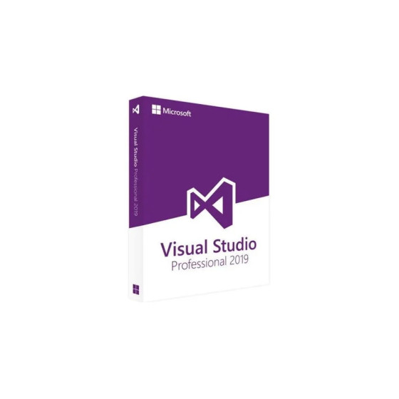 MICROSOFT VISUAL STUDIO PRO 2019 SINGLE OLP (C5E-01380)