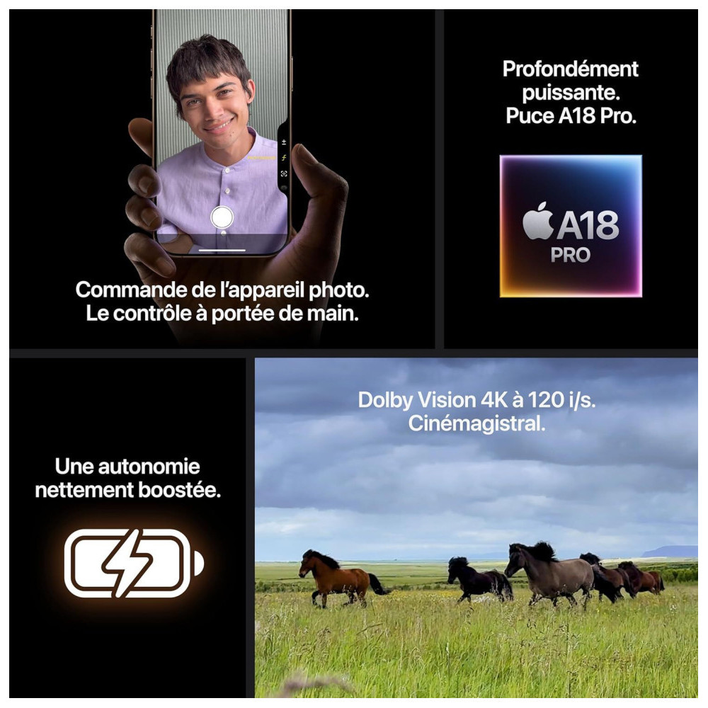  iPhone 16 Pro Max 256 Go | Couleur Titane noir (MYWV3ZD/A)