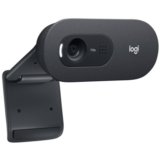 Webcam Logitech C505e (960-001372)