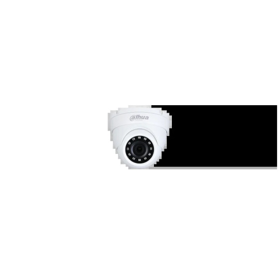 2MP HDCVI IR EYEBALL CAMERA (HAC-HDW1200M)