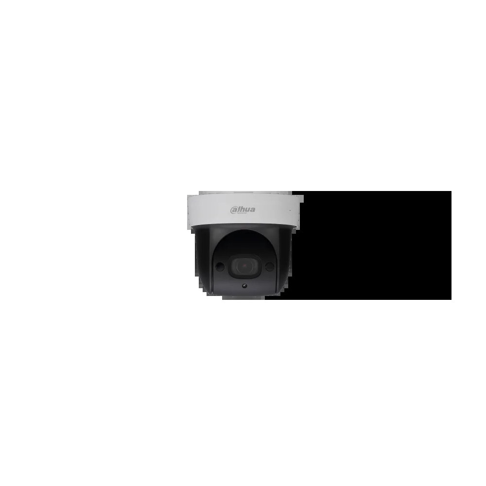 2MP 4X IR PTZ NETWORK CAMERA (SD29204T-GN)