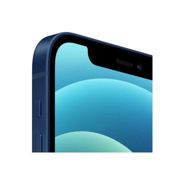 APPLE iPhone 12 256Go