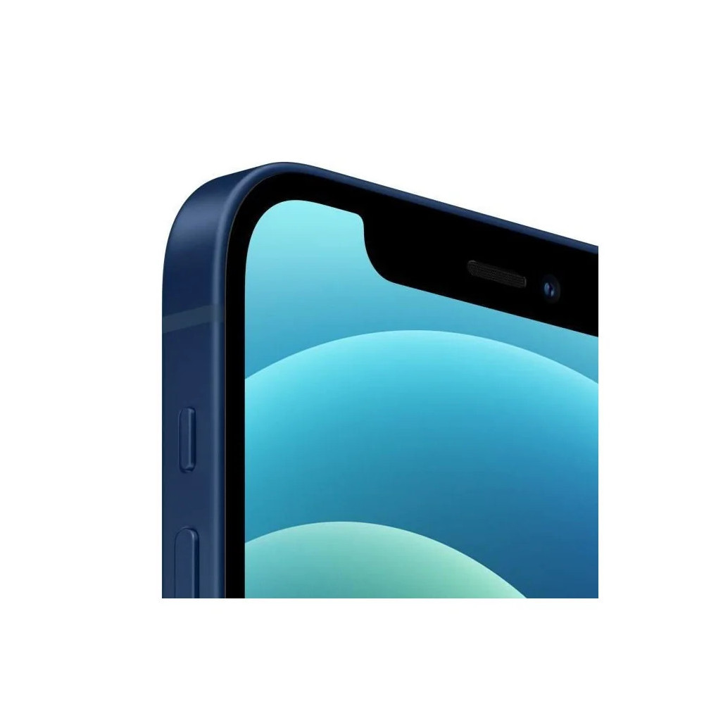 APPLE iPhone 12 256Go