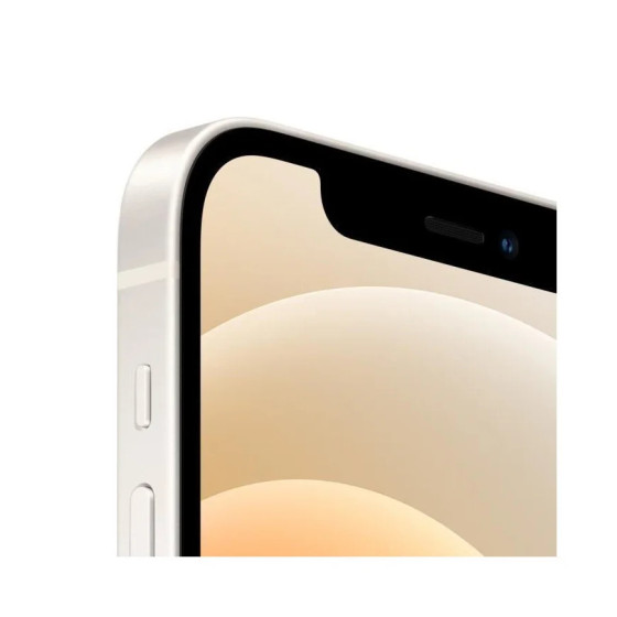 APPLE iPhone 12 256Go