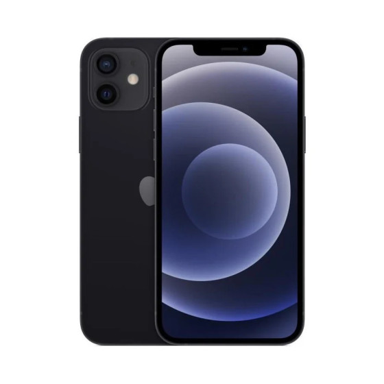 APPLE iPhone 12 256Go