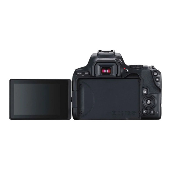 CANON EOS 250D (BK 18-55 S CP EU26)