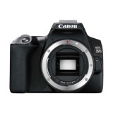 CANON EOS 250D (BK 18-55 S CP EU26)