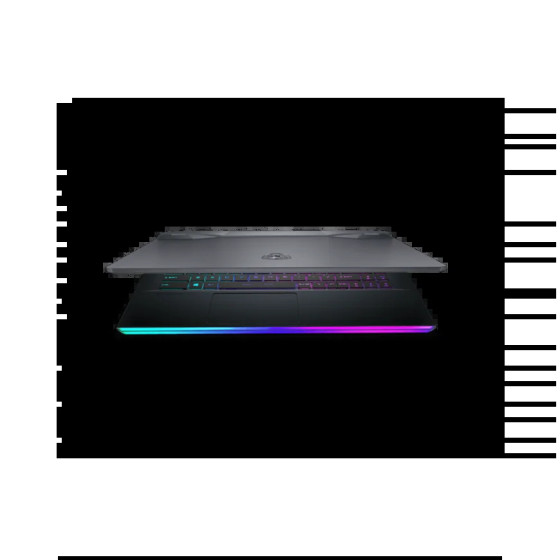 ORDINATEUR PORTABLE MSI GAMING GE66 RAIDER 10UG (GE66RAIDER10UH-085MA)