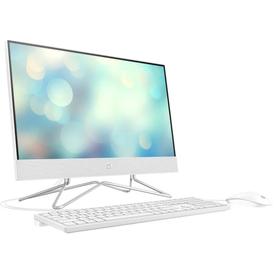 ORDINATEUR TOUT-EN-UN HP 22-DD1000NK (601V0EA)