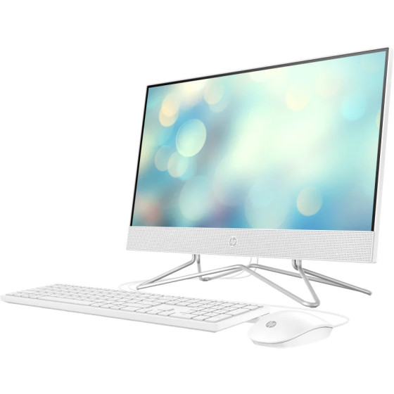 ORDINATEUR TOUT-EN-UN HP 22-DD1001NK (601V2EA)