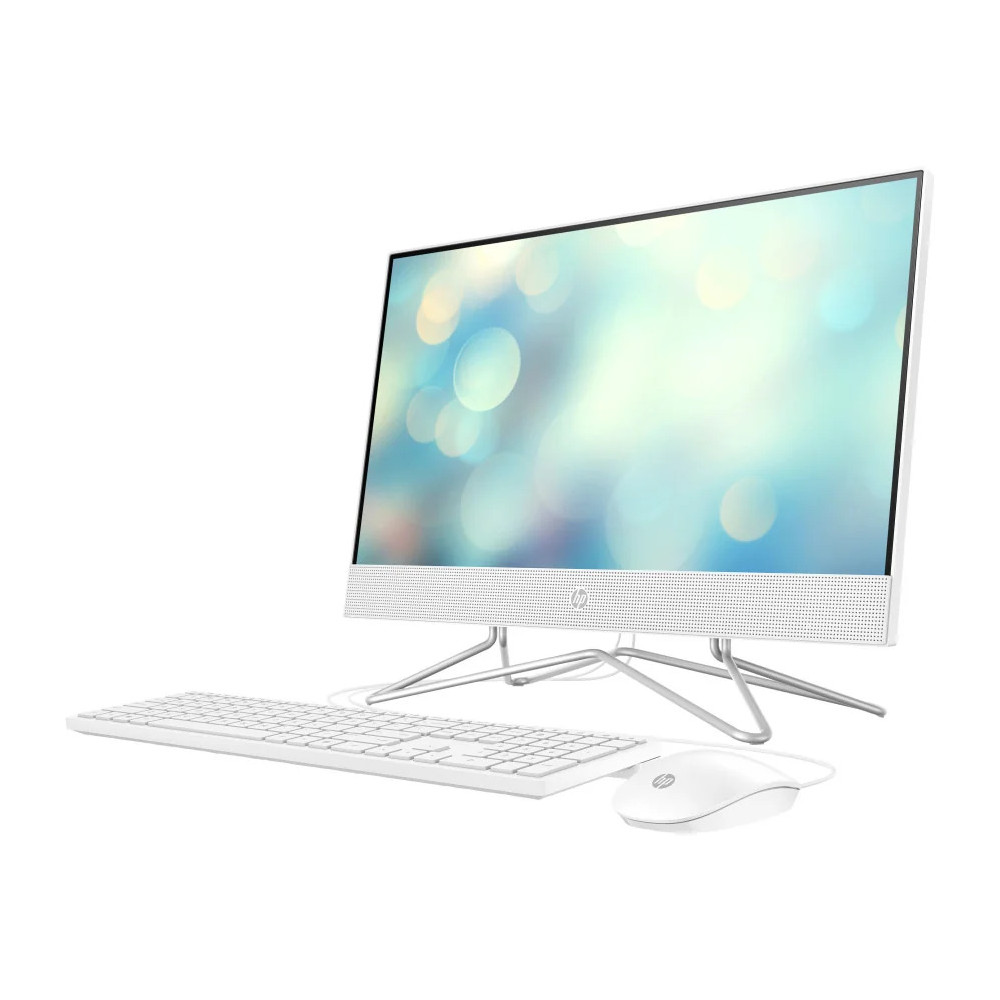 ORDINATEUR TOUT-EN-UN HP 22-DD1001NK (601V2EA)
