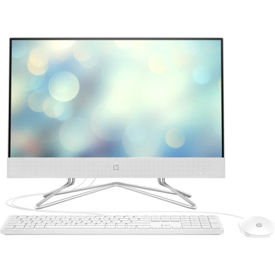 ORDINATEUR TOUT-EN-UN HP 22-DD1001NK (601V2EA)