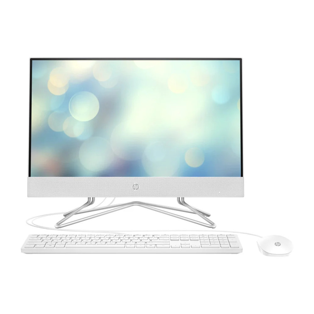 ORDINATEUR TOUT-EN-UN HP 22-DD1001NK (601V2EA)