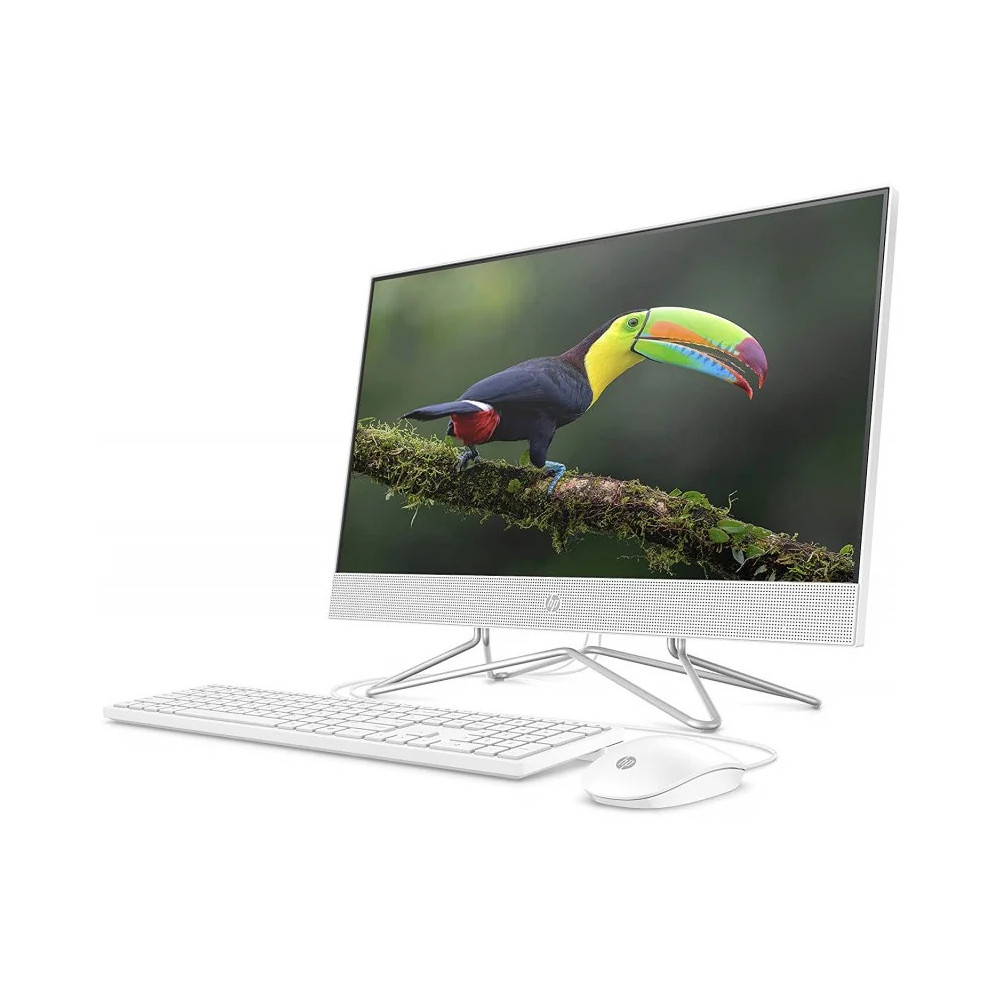 Ordinateur tout-en-un HP 200 G4 22 (9US61EA)