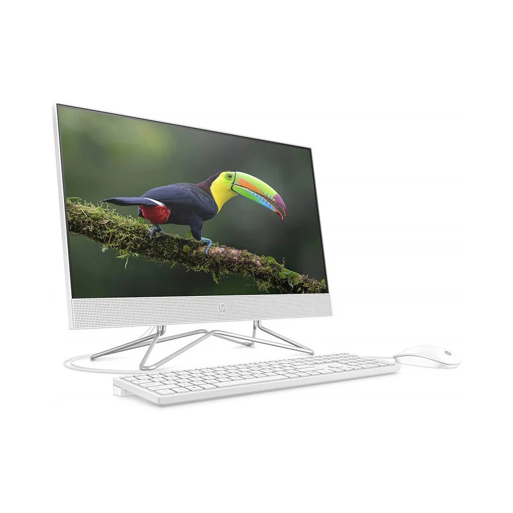 Ordinateur tout-en-un HP 200 G4 22 (9US61EA)